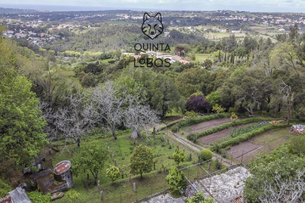 Quinta dos Lobos Boutique Hotel - Art&Nature Experience Sintra Exterior foto