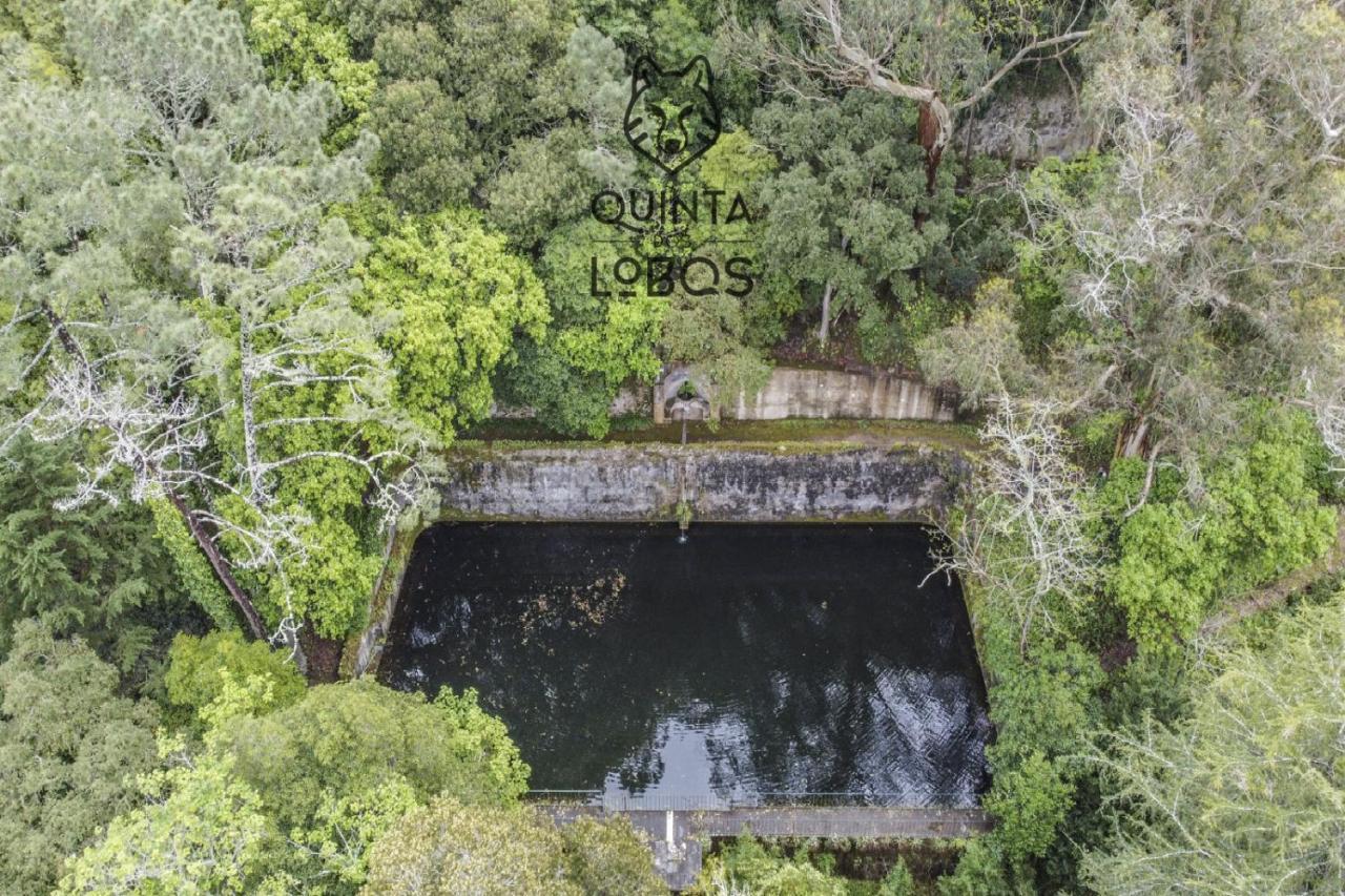 Quinta dos Lobos Boutique Hotel - Art&Nature Experience Sintra Exterior foto